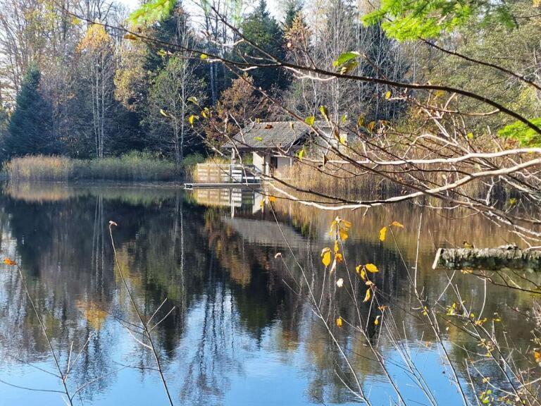 Bed and Breakfast Pied Des Milles Etang - Les Capucins Faucogney-et-la-Mer Екстер'єр фото